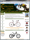 Evolution Cycles